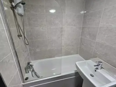 Picture 8